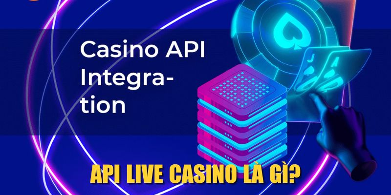 API Live Casino là gì?