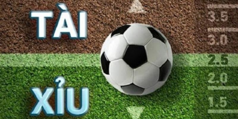 Các yếu tố ảnh hưởng đến kết quả cược tài xỉu
