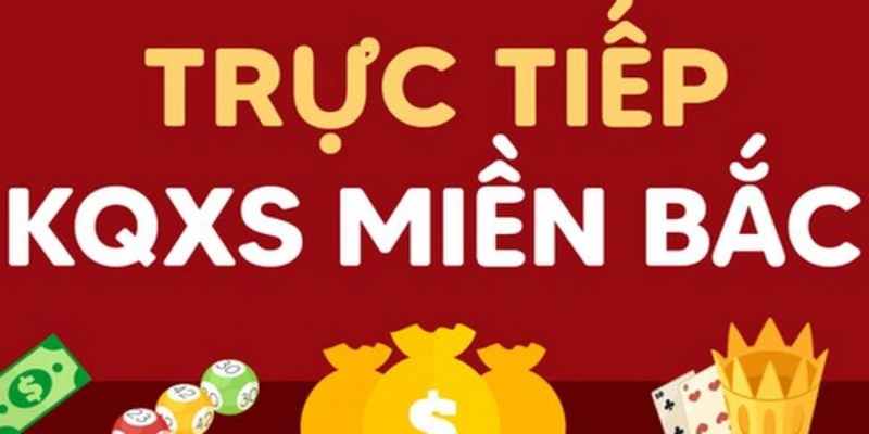Công việc thành viên thực hiện trong diễn đàn