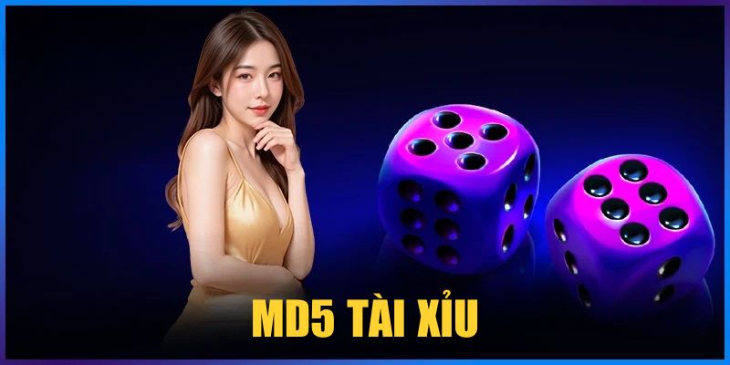 MD5 Tài Xỉu Là Gì? Bí Kíp Cược Sicbo MD5 Thắng Lớn 2025