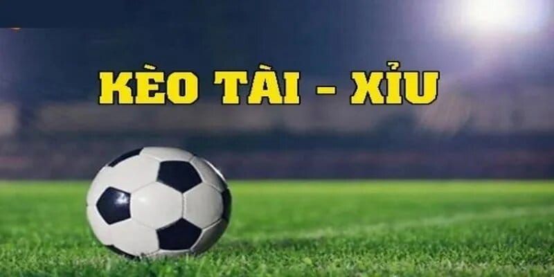 Hướng Dẫn Soi Kèo Tài Xỉu Chuẩn Xác Cùng Chuyên Gia