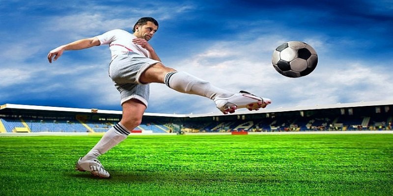 Kiến thức cơ bản về luật cược bóng online