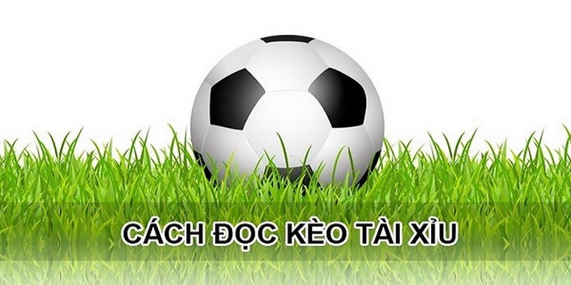 Luật cơ bản khi cá cược tổng bàn trận